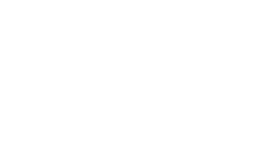 Bear Naked Logo